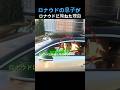 ロナウドの息子がいじけた理由