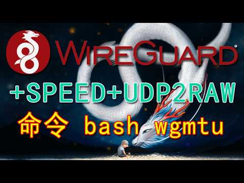 一键 Wireguard+udpspeeder+udp2raw 设置命令