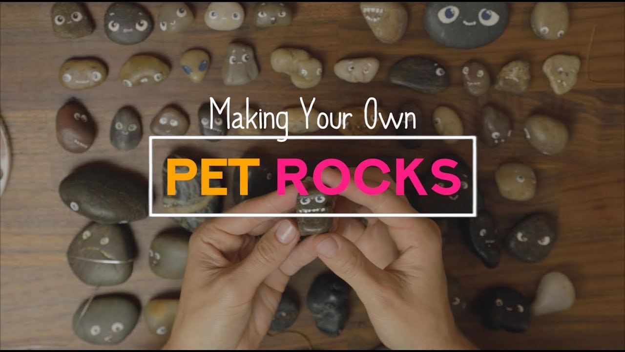 Make Your Own Pet Rock - Super Simple