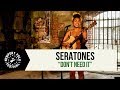 "Don't Need It" - Seratones | Newport Folk Festival | 7/29/17 | Relix