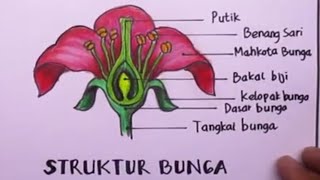 cara menggambar bagian-bagian bunga l struktur bunga l part of flower