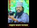 আল্লামা তারেক মনোয়ার নতুন ওয়াজ। Allama Tarek Monowar Waz #waz #wazmahfil