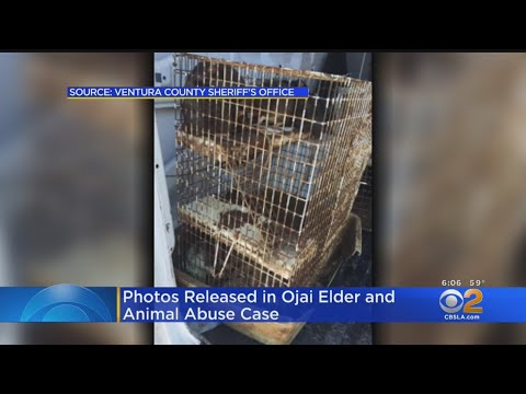 Video: 96-year-old Man Found Among Rats In California