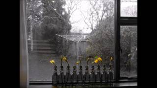Mark Ronson – Daffodils ft. Kevin Parker