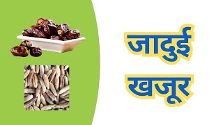 #Dates #DatesSeeds #KhajoorKeBeej खजूर के बीज के फायदे by Dr Dipikaa A Bhatia