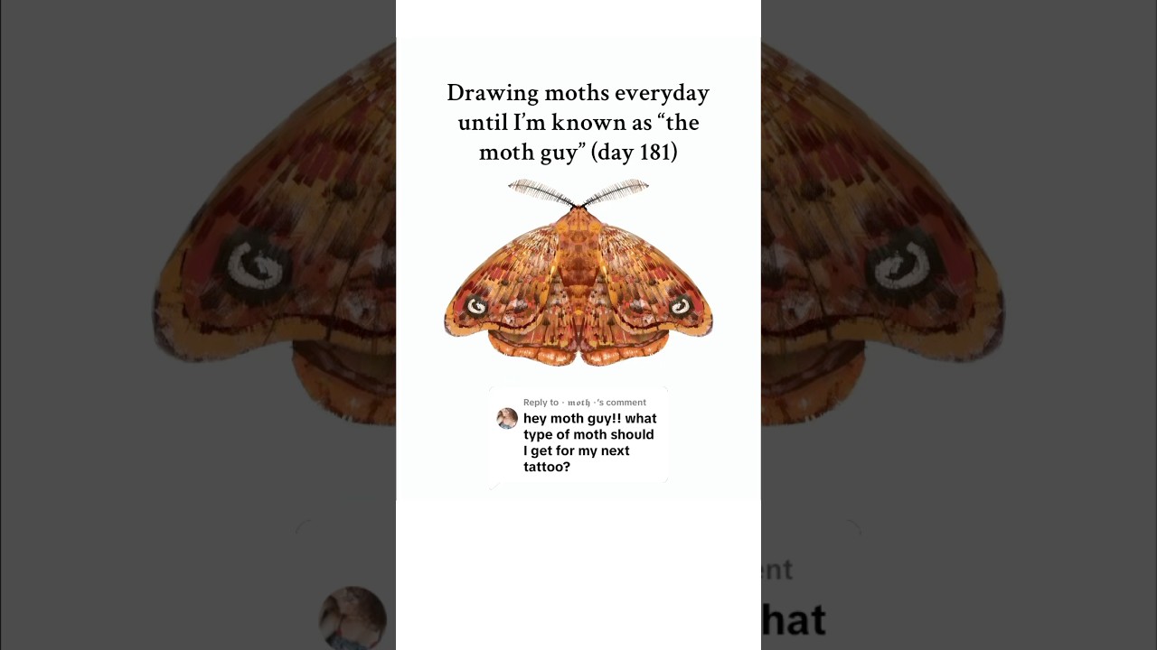 This moth is giving off fall vibes 🍁 