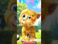 talking ginger gameplay 😂 funny cat video 🐈 #talkingtomversion #cat #talkingtom