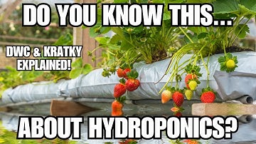 HYDROPONICS EXPLAINED! DWC vs KRATKY