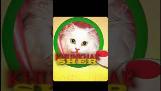 Duniya Ka Papa - Jack Edit. @ToonPlayz_official