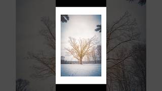 Just love taking photos 📸9/999  #torontophotographer  #photography #streetphotography #photography