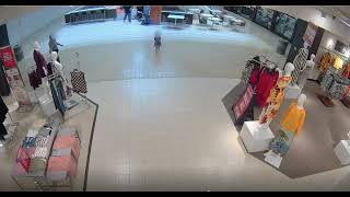 Chilling video shows alleged toddler abduction at mall
