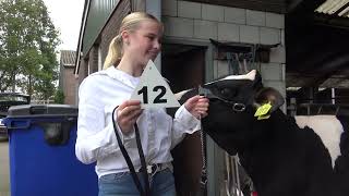 Download Lagu 2025 Kalveren Voorbrengen oudste met toelichting  HD MP3