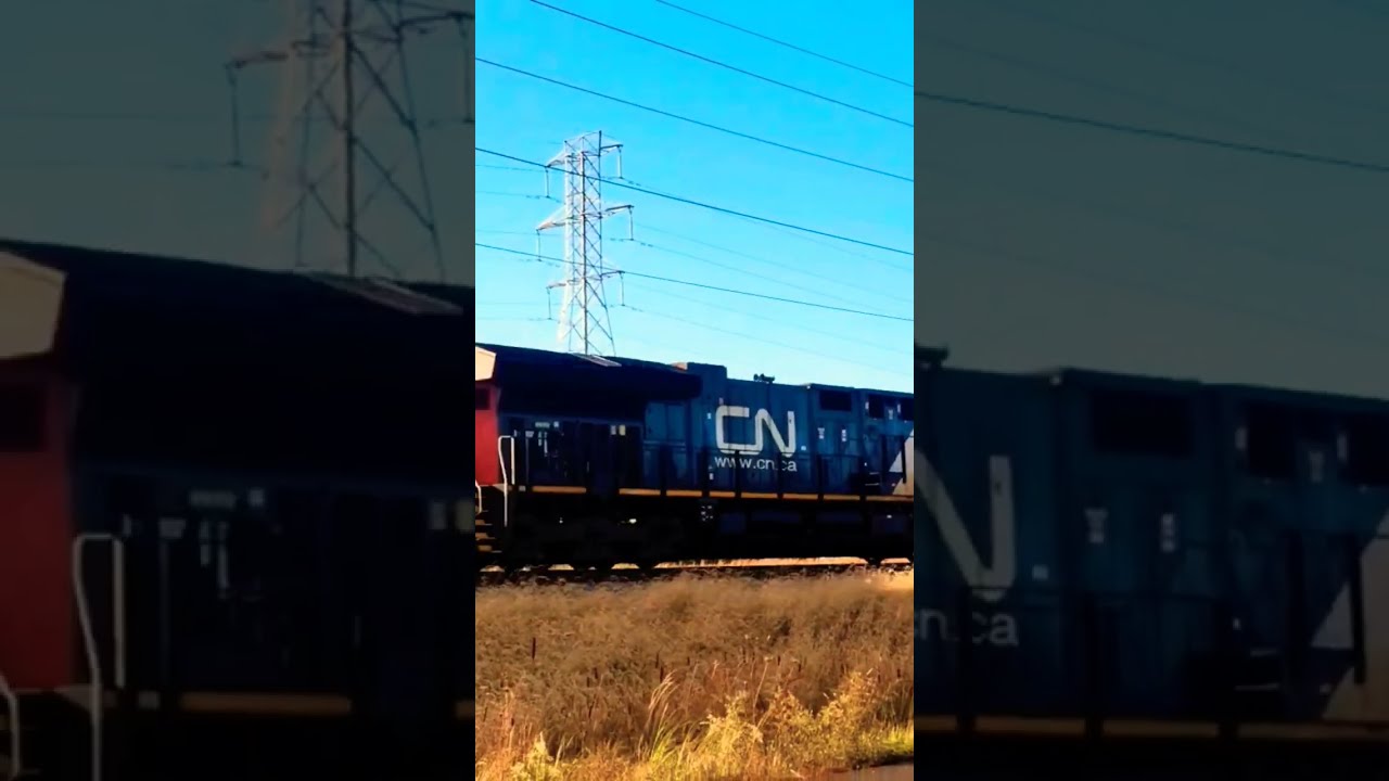 2-Unit CN Train Flying North