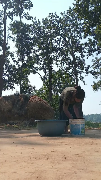 Kothar lipai# village girl parvati#shorts #village #mini vlog #vlog #desi