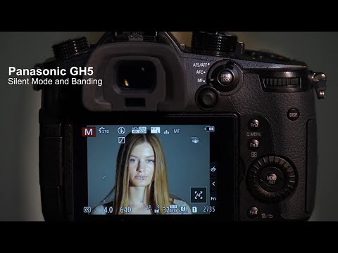 Lumix Academy GH5 | Silent Mode and Banding