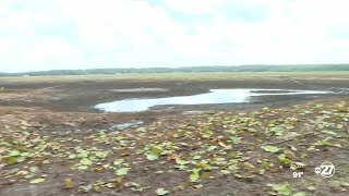 Closer look: 'Dry-down' of Lake Jackson