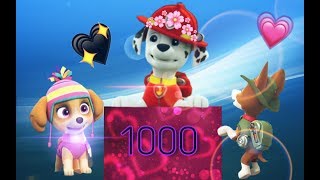 🐾Спасибо за 1000 подписчиков!/Thank you for 1000 subscribers!🐾