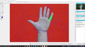 Fluidmask Demo 2 - Background removal tool built into ProRIP