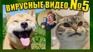 ВИРУСНЫЕ ВИДЕО / Подборка смешные моменты №5