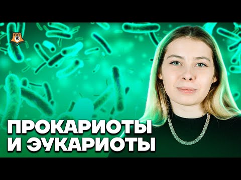 Прокариоты и эукариоты | Биология ЕГЭ 10 класс | Умскул