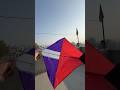 New kite 🪁 testing 😱🥰#kite #kiteflying #youtubeshorts #kiteflying