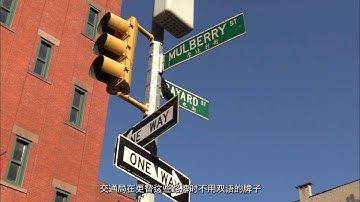 Lost in Translation: The Bilingual Street Signs in Chinatown