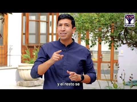 KUMAMOTO CONTRA LA VERIFICACIÓN DE ALFARO
