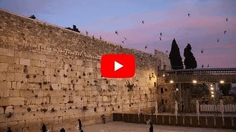 סיס החומות שב לכותל המערבי