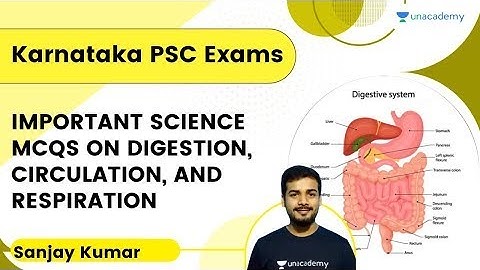 Important Science MCQs on Digestion, Circulation, and Respiration | SANJAY KUMAR H P | Karnataka PSC