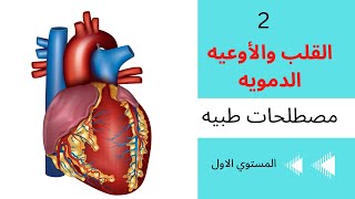 الجهاز الدوراني || مصطلحات طبيه المستوي الاول || circulatory system