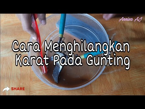 CARA MENGHILANGKAN KARAT PADA GUNTING || TAJAM SEPERTI BARU