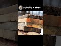 Recycling Wooden Pallets in Snow #worker #process #pallet #diy #woodworking