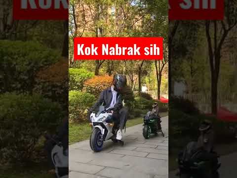 KUCING LUCU NAIK
