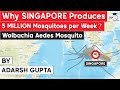 Why Singapore produces 5 million mosquitoes per week? Wolbachia Aedes Mosquito Suppression Strategy