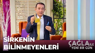 Elma Sirkesinin Faydaları - Çağla İle Yeni Bir Gün 529. Bölüm