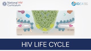 MiniLecture Series: Overview of the HIV Life Cycle