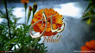 معنى اسم #نبال وصفات  حاملة و حامل هذا الاسم #Nibal