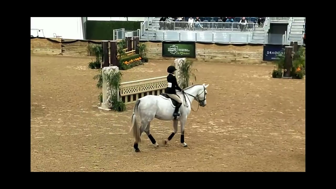 Untouch Du Faurieu Z • Dover Test