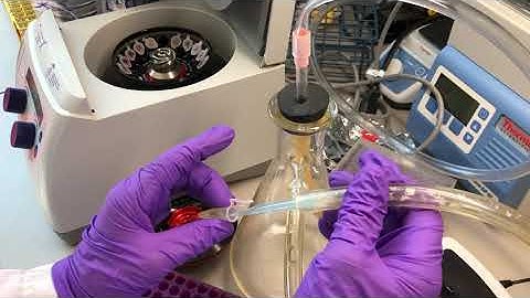 Harvest Cells with Aspirator