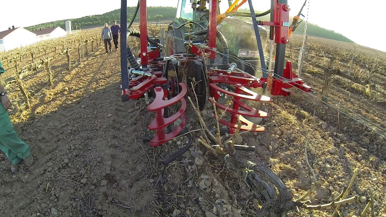 MINIMAL PRUNING FOR VINEYARD ID DAVID / prepodadora de precision viña