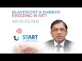 Blastocyst  embryo freezing in ivf by dr r g patel