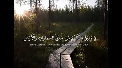 القارئ عبد الوهاب طاهر