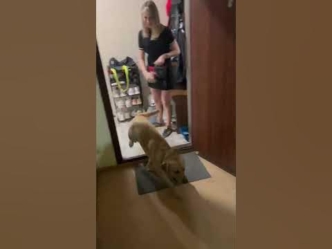 Мэни влюбился 😂 - YouTube