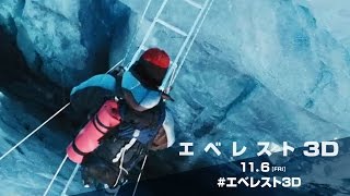 映画『エベレスト 3D』ムビチケオンライン EXPERIENCE編