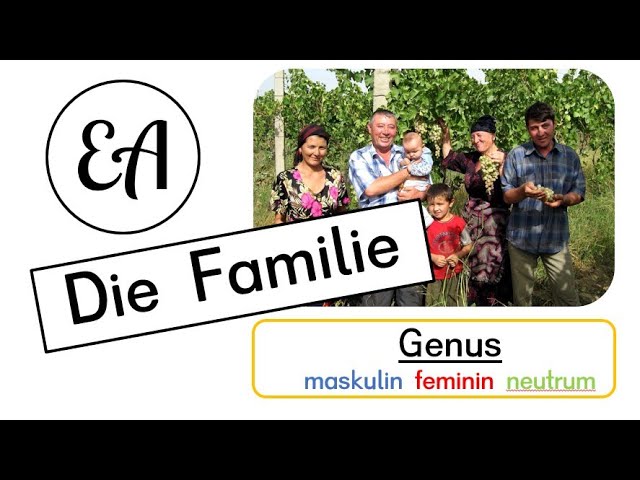 Deutsch feminin und maskulin Genus von