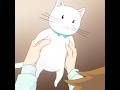 マスコットの中身、他の猫に入れ替わる #tvshow #animeedit #anime #斉木楠雄のψ難 #saikikusuo