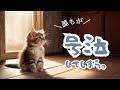 猫好きじゃなくても号泣してしまう。