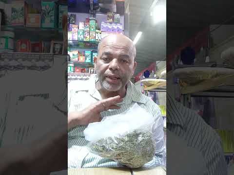 فوائد عباءة سيدة أو رجل الأسد