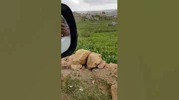 وادي الضباب يافع 