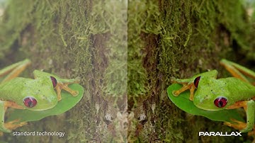 Projecta Parallax2016